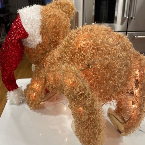 Indoor/Outdoor Christmas 🎄 Kitty Decor with Lights - Picture 8 of 16